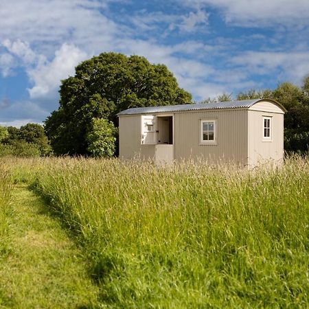 Romantic Secluded Shepherd Hut Hares Rest Southwick  Eksteriør billede
