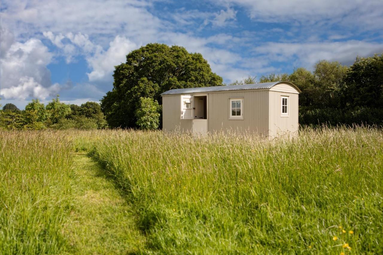 Romantic Secluded Shepherd Hut Hares Rest Southwick  Eksteriør billede