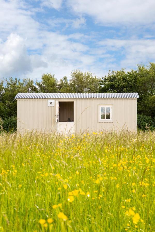 Romantic Secluded Shepherd Hut Hares Rest Southwick  Eksteriør billede
