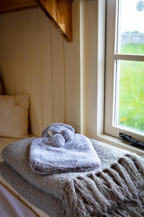 Romantic Secluded Shepherd Hut Hares Rest Southwick  Eksteriør billede